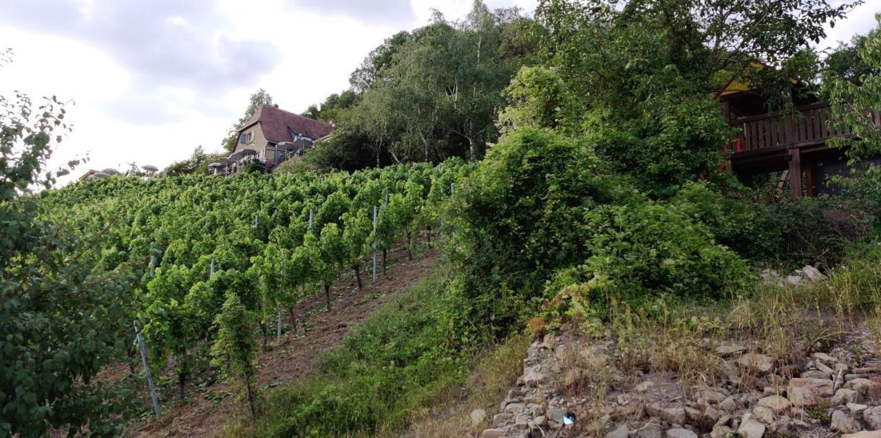 Ferienwohnung Am Hollergraben Oberschwarzach Exteriér fotografie